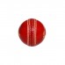 CA Test Star Cricket Ball